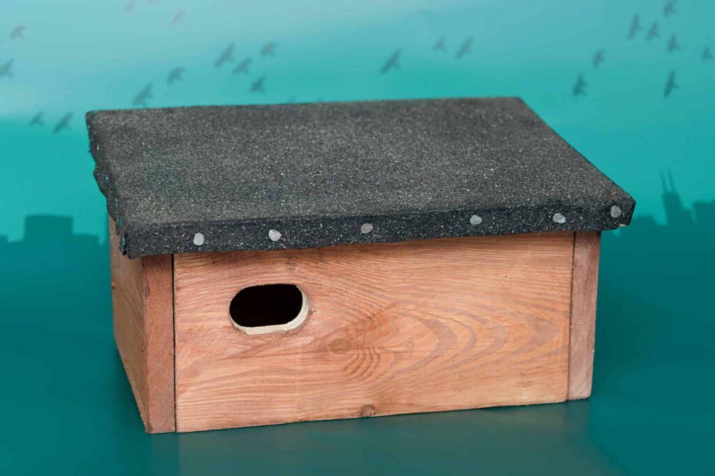 Budka lęgowa dla jerzyka