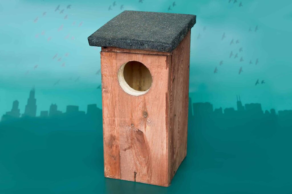Budka lęgowa dla kawki